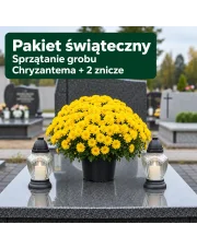 Pakiet Świąteczny – Sprzątanie Grobu z Żółtą Chryzantemą i Zniczami