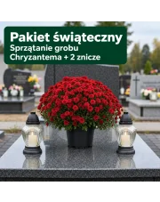Pakiet Świąteczny – Sprzątanie Grobu z Czerwoną Chryzantemą i Zniczami