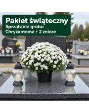 Pakiet Świąteczny – Sprzątanie Grobu z Białą Chryzantemą i Zniczami