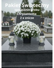 Pakiet Świąteczny – Sprzątanie Grobu z Białą Chryzantemą i Zniczami